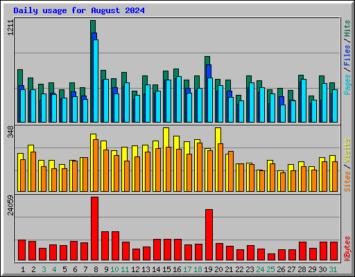 Daily usage for August 2024
