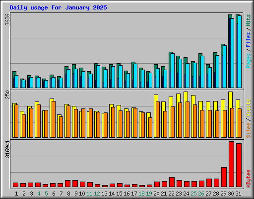 Daily usage for January 2025