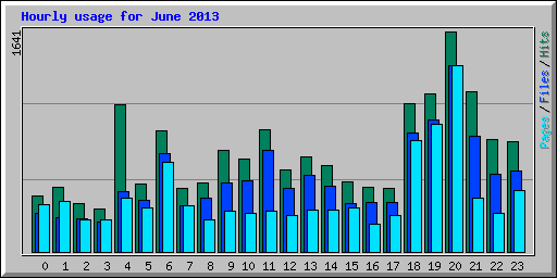 Hourly usage for June 2013