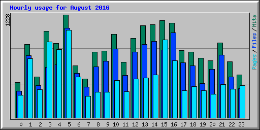Hourly usage for August 2016