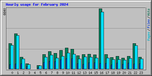 Hourly usage for February 2024