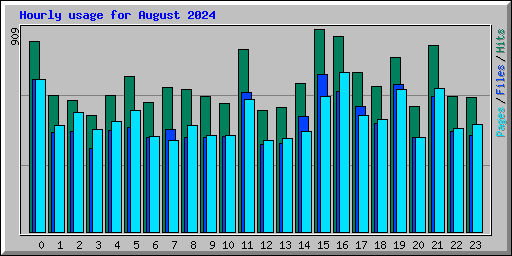 Hourly usage for August 2024