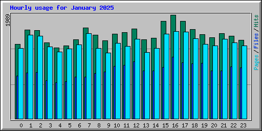 Hourly usage for January 2025