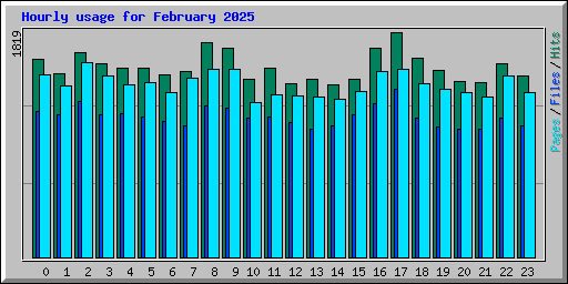 Hourly usage for February 2025